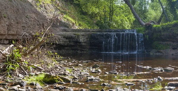 Panorama della cascata sul fiume di montagna il giorno d'estate — Foto Stock