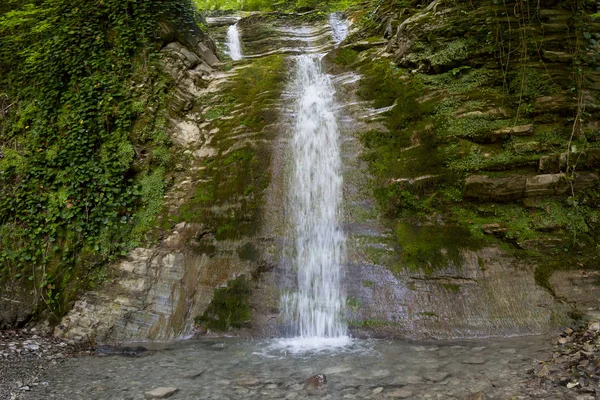 Schöne Waldfälle in den Bergen am Sommernachmittag — Stockfoto