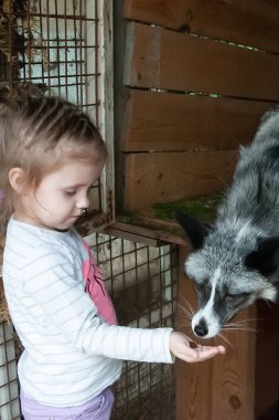 Küçük kız açık bir yaz gününde pofuduk, güzel mantarlarla oynuyor.