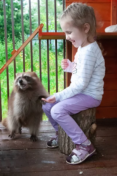 Pequena Menina Bonita Jogando Uma Gaiola Com Guaxinim Dia Verão — Fotografia de Stock