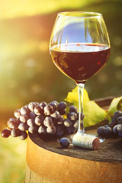 Primo Piano Calice Vino Rosso Uva Botte — Foto Stock