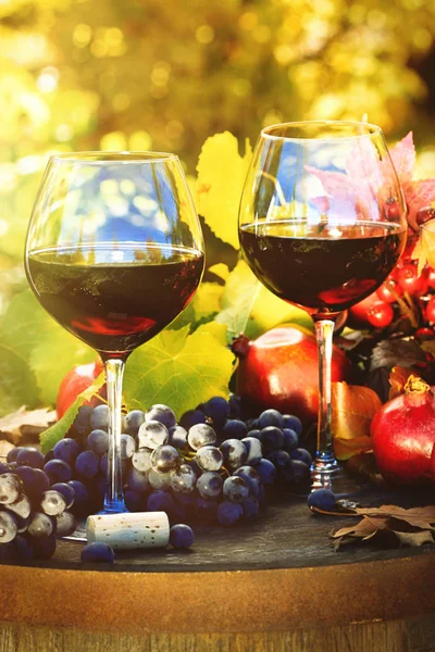 红葡萄酒和葡萄杯的秋季场景 — 图库照片