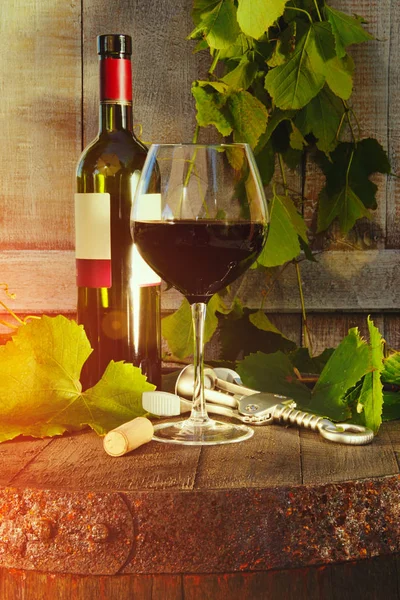 红酒瓶 玻璃和葡萄叶子 — 图库照片