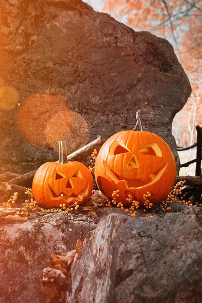 Lustige Halloween Kürbisse Auf Felsen Mit Blättern Und Beeren — Stockfoto