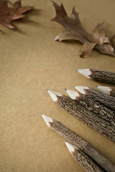 Деревянные Карандаши Бумагой Листьями — стоковое фото