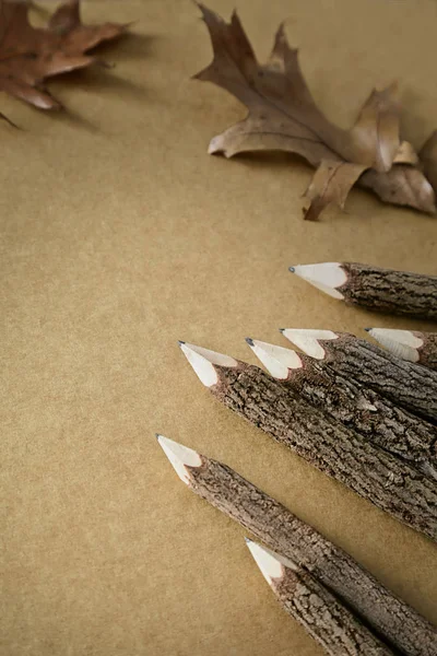 Houten Takje Potloden Met Papier Bladeren Rechtenvrije Stockafbeeldingen