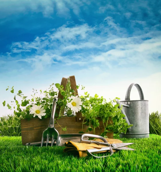 Fresh herbs and flowers with garden tools in the grass — Stock Photo, Image