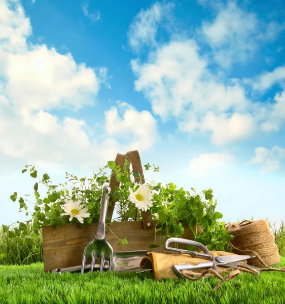 Frische Kräuter mit Gartengeräten im Gras — Stockfoto