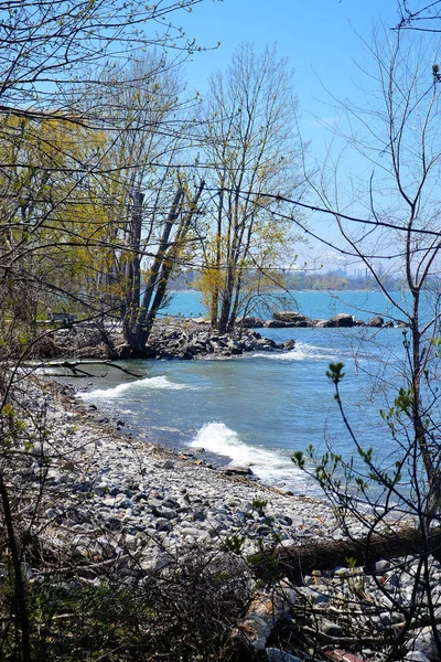 Een Close Beeld Van Oever Van Lake Ontario Het Voorjaar — Stockfoto