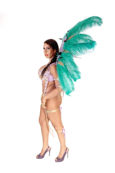 Una Giovane Donna Splendida Indossa Vestito Carnevale Colorato Con — Foto Stock