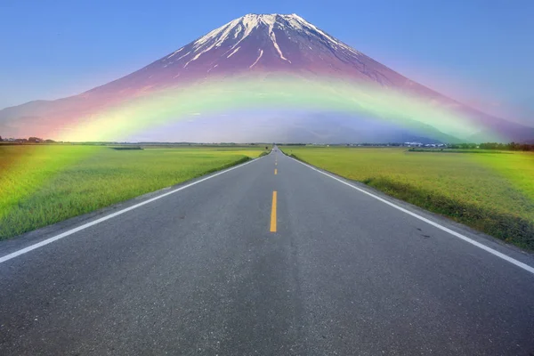 Mooi Plance Met Weg Naar Berg Witn Mooi Uitzicht — Stockfoto