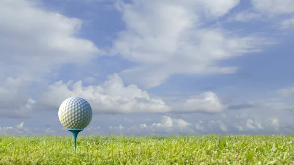 Rendering Tampilan Bagus Bola Golf Pada Pemegang Dengan Lapangan Golf — Stok Foto