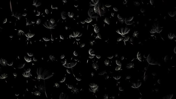 3D vykreslování makro fotografii Pampeliška na černém pozadí