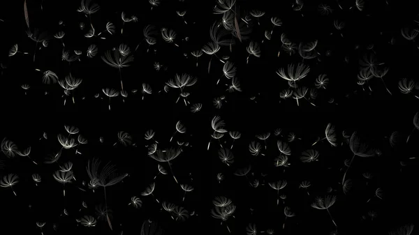 Rendering Macro Photo Dandelion Black Background — Stock Photo, Image