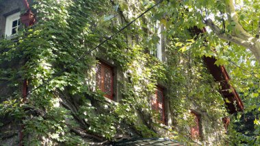 Shanghai, Çin - 2 Ekim 2018: güzel Shanghai stree görünümünde Shanghai Şanghay, Çin sokaklarında 1 Ekim tarihinde uzun tatil sırasında