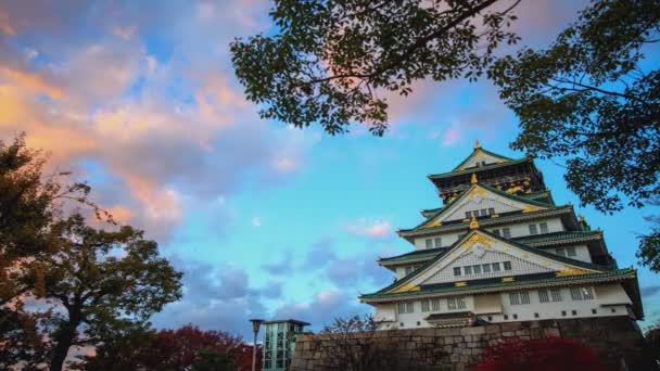 Time Lapse Landscape View Osaka Castle Daytime Blue Sky Thin — Stock Video