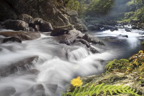 Picture Some Small Waterfall Nature River — Stock Photo, Image