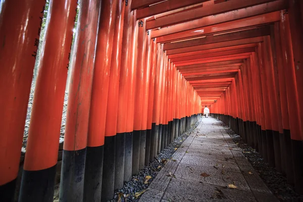 日本京都以南著名地标伏见稻里神社的红色鸟居大门 — 图库照片