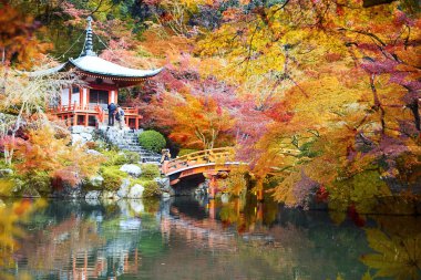 Recai-ji Tapınağı ile renkli akçaağaç Güz, Kyoto, Japonya