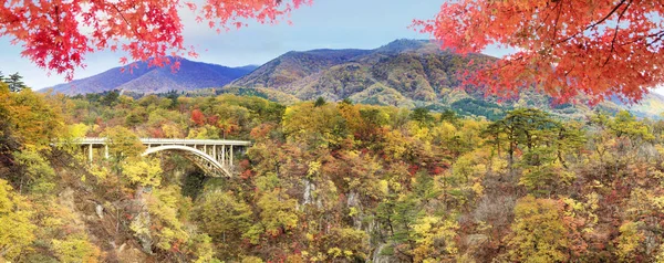 Japonya Daki Naruko Boğazı Nın Sonbahar Renkleri Güzel Mavi Bulutlu — Stok fotoğraf
