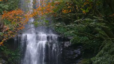 Sonbahar Yunshen Şelalesi New Taipei Şehri Sanxia Bölgesi, New Taipei Şehri, Tayvan 