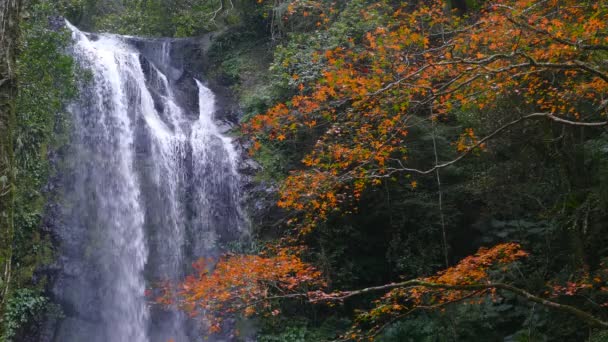 Jesienny Wodospad Yunshen New Taipei City Sanxia District New Taipei — Wideo stockowe
