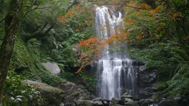 Herfst Yunshen Waterval New Taipei City Sanxia District New Taipei — Stockvideo