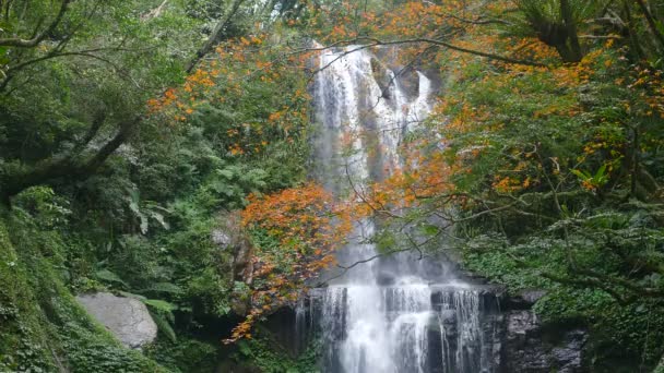 Sonbahar Yunshen Şelalesi New Taipei Şehri Sanxia Bölgesi New Taipei — Stok video