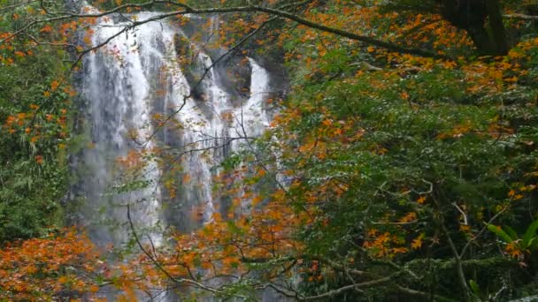 Осенний Водопад Юньшэнь Районе Санься Новый Тайбэй Тайвань — стоковое видео