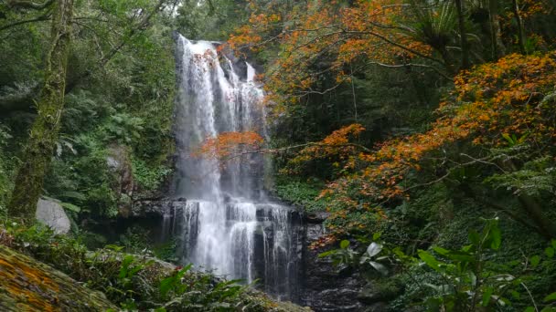 Cascata Autunno Yunshen Nel Distretto New Taipei City Sanxia New — Video Stock