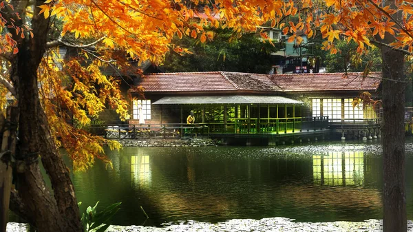 Озеро Автумн Лес Приятным Осенним Цветом Станция Чхег Тайвань — стоковое фото