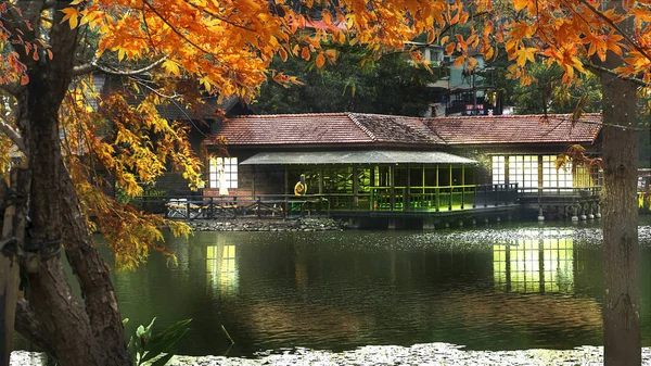 Озеро Автумн Лес Приятным Осенним Цветом Станция Чхег Тайвань — стоковое фото