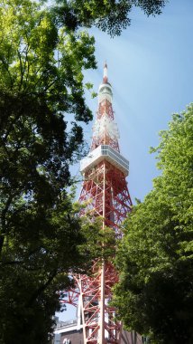 The nice view of Tokyo Tower in Tokyo, Japan