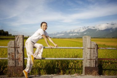 Luye, Taitung, Tayvan 'da altın çeltik pirinç çiftliği olan kırsal bir manzara.