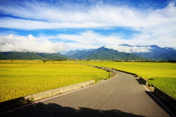 Maaseudun Maisema Kultaisella Paddy Riisitarhalla Luyessa Taitungissa Taiwanissa — kuvapankkivalokuva