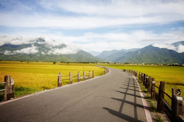 Paisagem Rural Com Arrozal Dourado Luye Taitung Taiwan — Fotografia de Stock