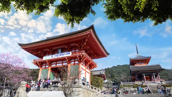 Kyoto Japonia Marca 2015 Turystyczna Świątyni Kiyomizu Dera Czasie Kwiat — Zdjęcie stockowe