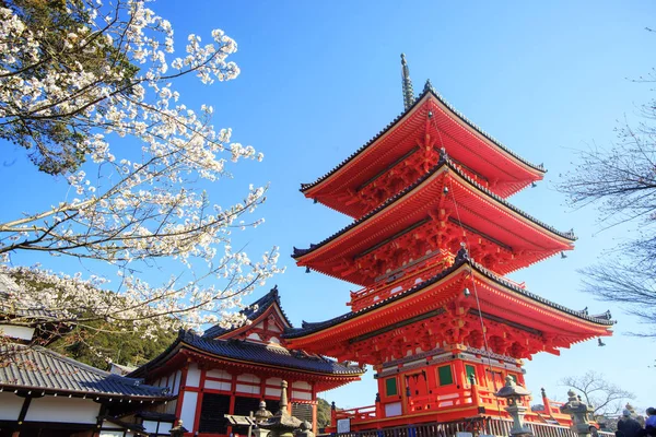Kyoto Japan Maart 2015 Toeristen Bij Tempel Kiyomizu Dera Kersenbloesem — Stockfoto