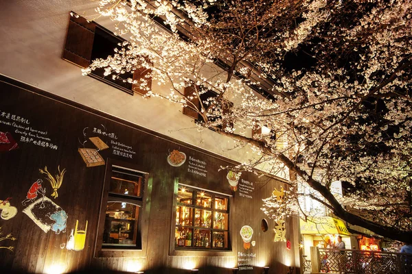 Кіото Японія Березня 2015 Японії Сезон Цвітіння Вишні Кіото Початку — стокове фото