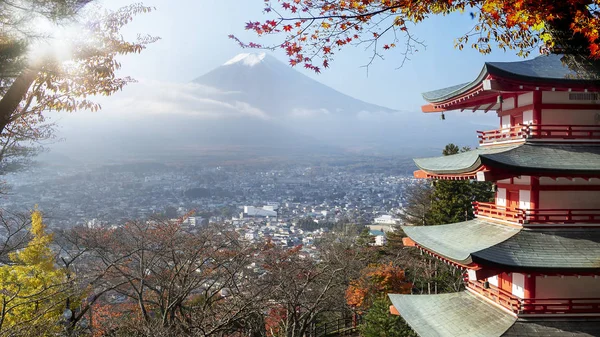 ใบไม วงท นในภ เขาฟ ทะเลสาบ Kawaguchiko นหน งในสถานท ดในญ — ภาพถ่ายสต็อก