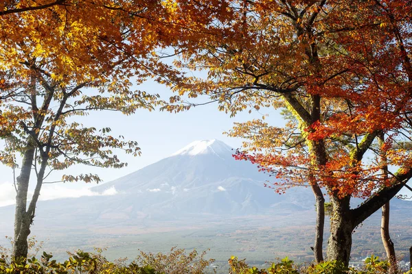 Automne Coloré Mont Fuji Japon Lac Kawaguchiko Est Des Meilleurs — Photo