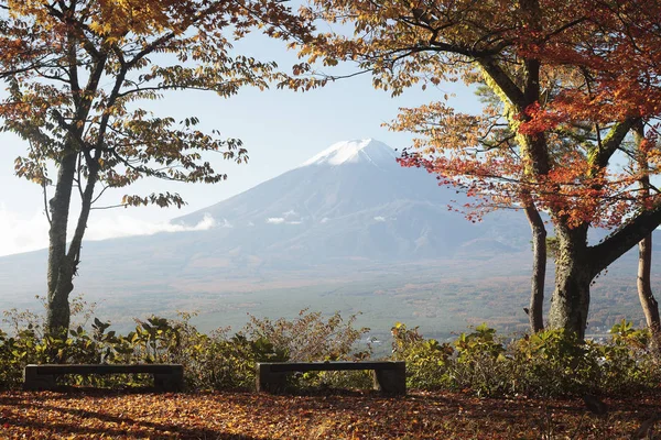 Automne Coloré Mont Fuji Japon Lac Kawaguchiko Est Des Meilleurs — Photo