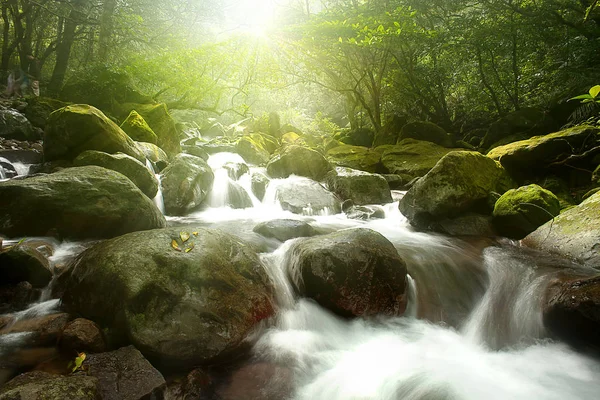 Ποτάμι Τοπίο Φύση Ρεύμα Στη Φύση Τροπικού Δάσους — Φωτογραφία Αρχείου