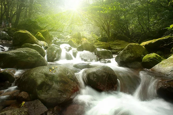 Paisaje Naturaleza Del Río Con Arroyo Naturaleza Selva Tropical — Foto de Stock