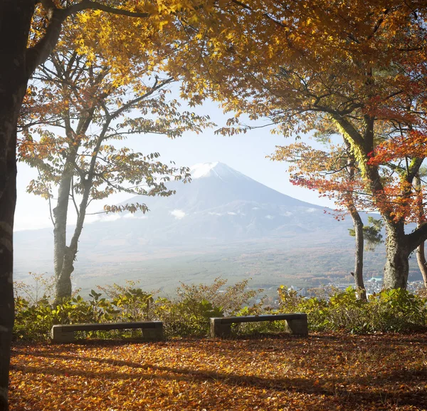 Automne Coloré Mont Fuji Japon Lac Kawaguchiko Est Des Meilleurs — Photo