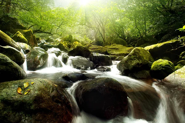 Pemandangan Alam Sungai Dengan Aliran Alam Hutan Hujan — Stok Foto