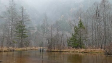 Nagano, Japonya, Kuzey Japonya Alpleri'nde Kamikochi Milli Parkı. Güzel dağ nehir ile sonbahar yaprak