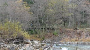 Nagano, Japonya, Kuzey Japonya Alpleri'nde Kamikochi Milli Parkı. Güzel dağ nehir ile sonbahar yaprak