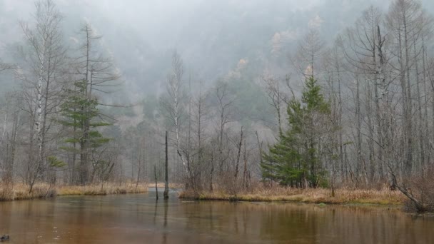 Nagano Japonya Kuzey Japonya Alpleri Nde Kamikochi Milli Parkı Güzel — Stok video