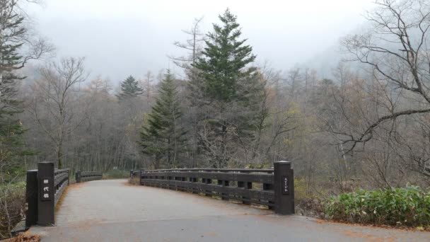 Kamikochi Národní Park Alpách Severní Japonsko Nagano Japonsko Krásná Hora — Stock video